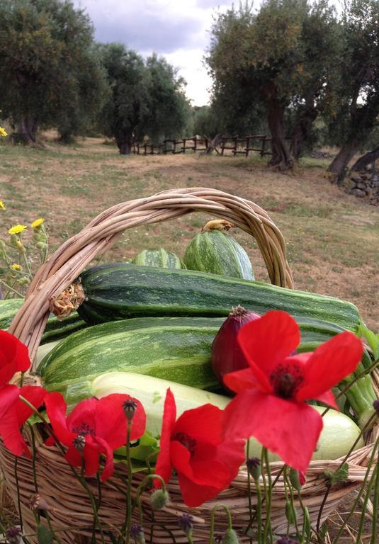Agriturismo Prati Degli Orti مونتيانو المظهر الخارجي الصورة