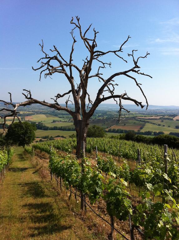 Agriturismo Prati Degli Orti مونتيانو المظهر الخارجي الصورة