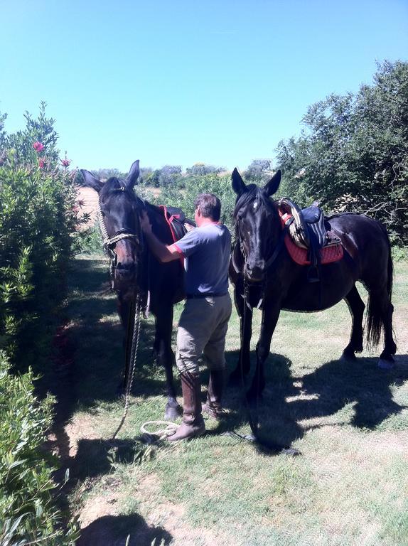 Agriturismo Prati Degli Orti مونتيانو المظهر الخارجي الصورة