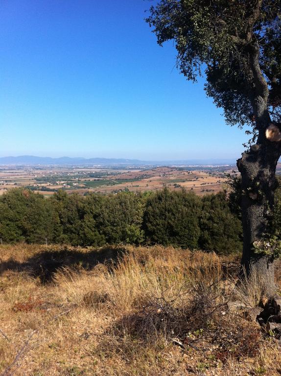 Agriturismo Prati Degli Orti مونتيانو المظهر الخارجي الصورة