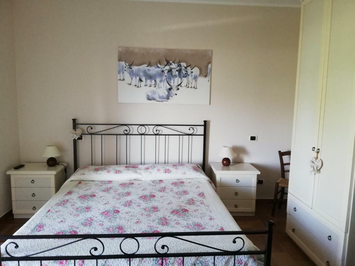Agriturismo Prati Degli Orti مونتيانو المظهر الخارجي الصورة