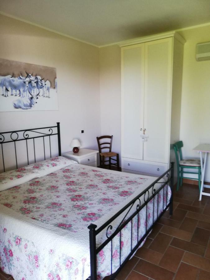 Agriturismo Prati Degli Orti مونتيانو المظهر الخارجي الصورة